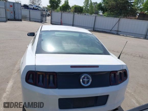 2014 Ford Mustang V6 with VIN 1ZVBP8AMXE5245688, listed as a IAAI auction lot 42074539 with 146,028 mi miles. Bid and sale history available at carsss.com. Image 16.