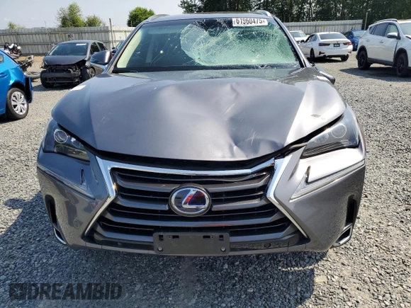 2017 Lexus NX 300h with VIN JTJBJRBZ1H2066494, listed as a Copart auction lot 61960475 with 34,428 mi miles and Salvage title. Bid and sale history available at DreamBid. Image 5.
