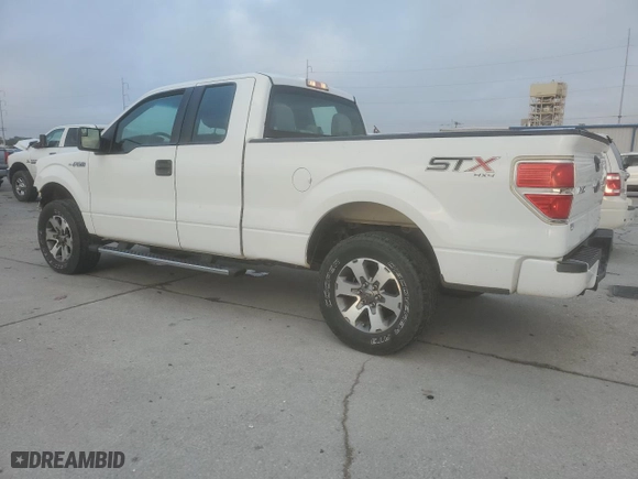 2014 Ford F-150 XL with VIN 1FTFX1EF5EFA41799, listed as a Copart auction lot 85844274 with 174,481 mi miles and Salvage Title. Bid and sale history available at carsss.com. Image 2.