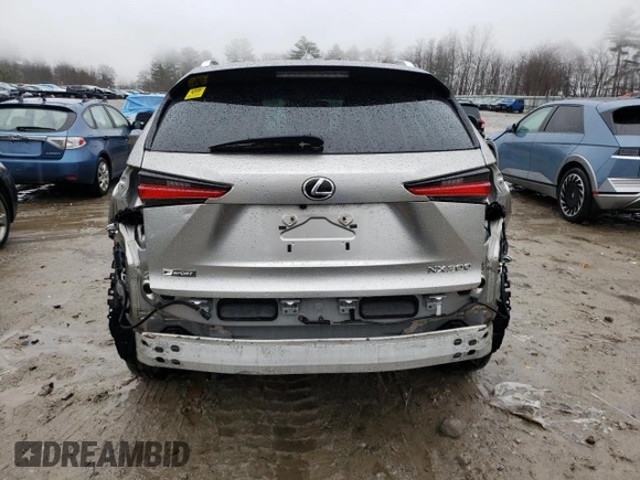 2020 Lexus NX 300 F Sport with VIN JTJSARDZ2L2222242, listed as a Copart auction lot 59493045 with 134,746 mi miles and Non repairable. Bid and sale history available at DreamBid. Image 6.