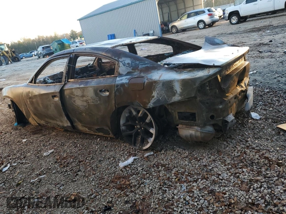 2019 Dodge Charger SXT with VIN 2C3CDXBG9KH745286, listed as a Copart auction lot 48289265 with Not Provided miles and Non Repairable. Bid and sale history available at carsss.com. Image 2.