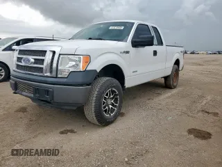 2012 Ford F-150 XL with VIN 1FTFX1ET2CFD02180, listed as a Copart auction lot 61810405 with 218,459 mi miles and Clean title. Bid and sale history available at DreamBid. Image 1.