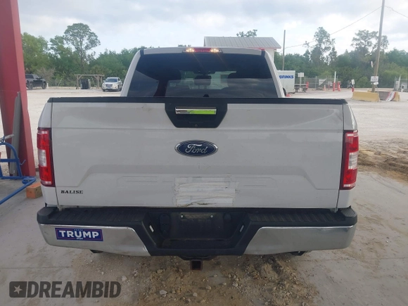 2019 Ford F-150 XL with VIN 1FTEW1E50KFA47687, listed as a IAAI auction lot 42021043 with 129,337 mi miles. Bid and sale history available at carsss.com. Image 16.