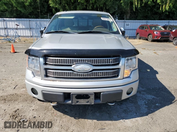 2009 Ford F-150 XL with VIN 1FTPW14V69FA48640, listed as a Copart auction lot 65913475 with 134,839 mi miles and Salvage title. Bid and sale history available at DreamBid. Image 5.
