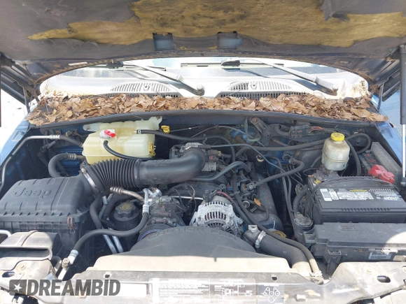 2004 Jeep Liberty Limited with VIN 1J4GL58KX4W134939, listed as a IAAI auction lot 42556799 with 243,985 mi miles and . Bid and sale history available at DreamBid. Image 10.