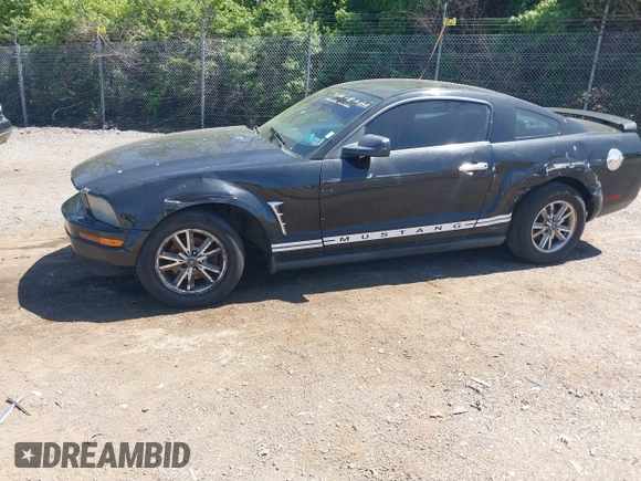 2005 Ford Mustang Deluxe with VIN 1ZVFT80N255111782, listed as a IAAI auction lot 42145903 with 243,853 mi miles. Bid and sale history available at carsss.com. Image 2.