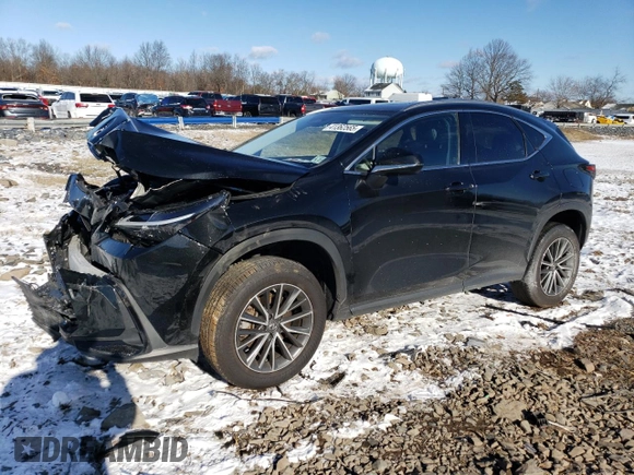 2022 Lexus NX with VIN JTJGGCEZ3N2005494, listed as a Copart auction lot 41362565 with 0 mi miles and Salvage Title. Bid and sale history available at carsss.com. Image 1.