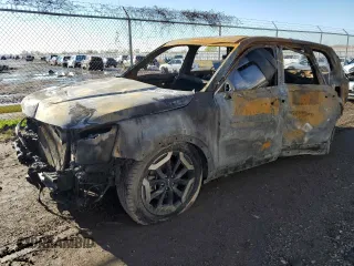 2023 Kia Telluride S with VIN 5XYP6DGC5PG339636, listed as a Copart auction lot 87691975 with Not Provided miles and Non Repairable. Bid and sale history available at carsss.com. Image 1.