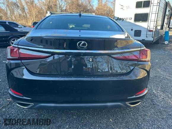 2019 Lexus ES 350 with VIN JTHBZ1B16K2003291, listed as a Copart auction lot 51746915 with 37,347 mi miles and Clean Title. Bid and sale history available at DreamBid. Image 5.