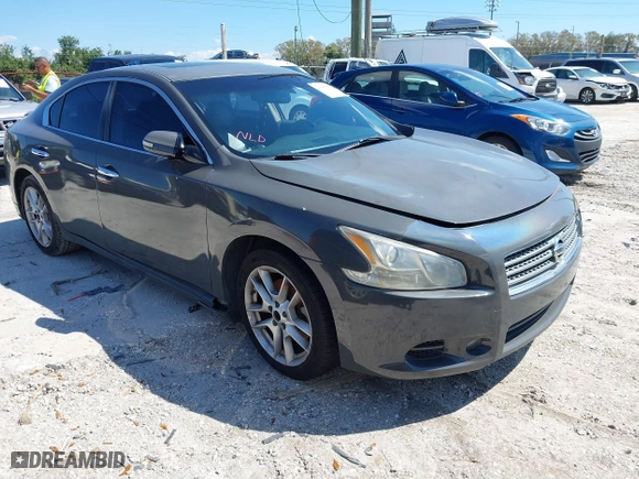 2010 Nissan Maxima 3.5 SV w/Premium Pkg with VIN 1N4AA5AP6AC831809, listed as a IAAI auction lot 41684547 with 123,194 mi miles. Bid and sale history available at carsss.com. Image 1.