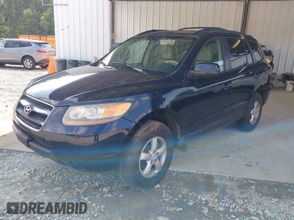 2007 Hyundai Santa Fe GLS with VIN 5NMSG13D97H084032, listed as a IAAI auction lot 42717196 with 281,287 mi miles and . Bid and sale history available at DreamBid. Image 2.