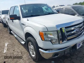 2010 Ford F-150 XL with VIN 1FTEW1C80AKE13666, listed as a IAAI auction lot 42002179 with 121,288 mi miles. Bid and sale history available at carsss.com. Image 1.
