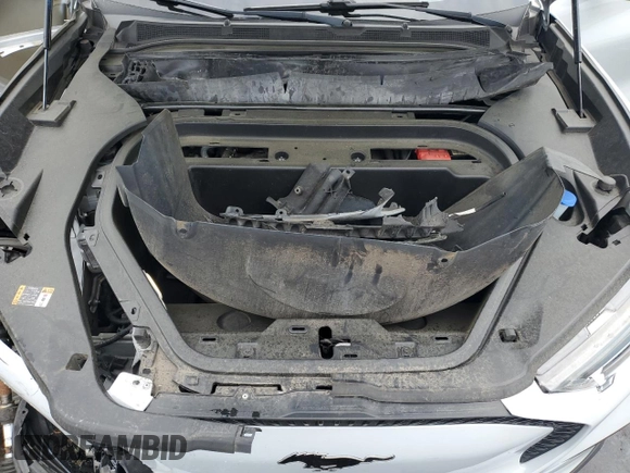 2022 Ford Mustang Mach-E Select with VIN 3FMTK1SS9NMA18296, listed as a Copart auction lot 53259365 with 80,697 mi miles and Salvage title. Bid and sale history available at DreamBid. Image 12.