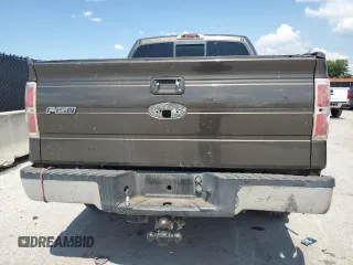 2009 Ford F-150 XL with VIN 1FTRW12889FB01747, listed as a Copart auction lot 62402315 with 332,253 mi miles and Clean title. Bid and sale history available at DreamBid. Image 6.