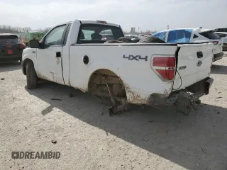 2009 Ford F-150 XL with VIN 1FTRF14W99KB43928, listed as a Copart auction lot 49001195 with 162,097 mi miles and Salvage title. Bid and sale history available at DreamBid. Image 2.