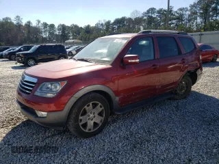 2009 Kia Borrego EX with VIN KNDJJ742295018666, listed as a Copart auction lot 46311595 with 154,138 mi miles and Salvage Title. Bid and sale history available at DreamBid. Image 1.