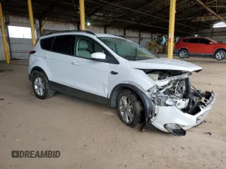 2017 Ford Escape SE with VIN 1FMCU9GD4HUD44574, listed as a Copart auction lot 48616805 with 152,026 mi miles and Salvage Title. Bid and sale history available at carsss.com. Image 4.