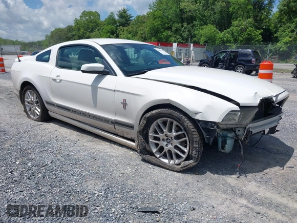 2013 Ford Mustang V6 with VIN 1ZVBP8AM6D5256735, listed as a IAAI auction lot 42322736 with 88,161 mi miles and . Bid and sale history available at DreamBid. Image 1.