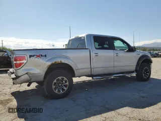 2009 Ford F-150 XL with VIN 1FTPW14V39FA07124, listed as a Copart auction lot 58660225 with 169,321 mi miles and Salvage title. Bid and sale history available at DreamBid. Image 3.