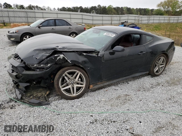 2024 Ford Mustang EcoBoost with VIN 1FA6P8TH8R5118552, listed as a Copart auction lot 50802265 with 4,767 mi miles and Salvage Title. Bid and sale history available at DreamBid. Image 1.