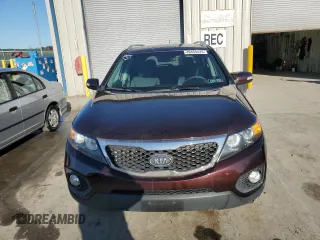 2013 Kia Sorento LX with VIN 5XYKT3A63DG361839, listed as a Copart auction lot 49459425 with Not provided miles and Salvage title. Bid and sale history available at DreamBid. Image 5.