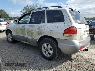 2005 Hyundai Santa Fe GLS with VIN KM8SC13D95U868823, listed as a Copart auction lot 80675094 with 0 mi miles and Salvage Title. Bid and sale history available at carsss.com. Image 2.