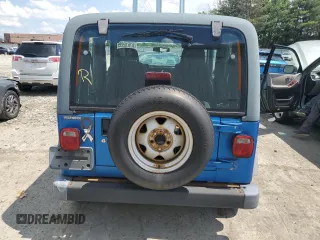 2003 Jeep Wrangler SE with VIN 1J4FA291X3P318888, listed as a Copart auction lot 61616535 with Not provided miles and Clean title. Bid and sale history available at DreamBid. Image 6.