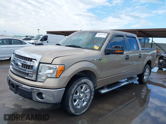 2013 Ford F-150 XL with VIN 1FTEW1CM3DKD22800, listed as a IAAI auction lot 42097438 with 200,792 mi miles and . Bid and sale history available at DreamBid. Image 21.