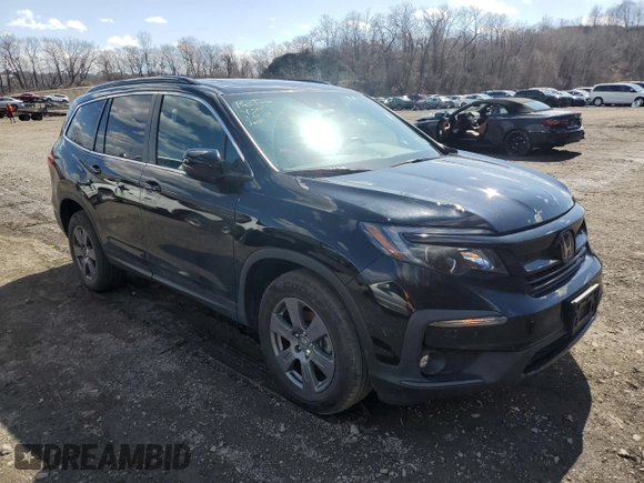2022 Honda Pilot Special Edition with VIN 5FNYF6H28NB036294, listed as a Copart auction lot 48388105 with 37,970 mi miles and Salvage Title. Bid and sale history available at carsss.com. Image 4.