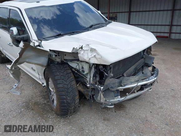 2015 Ford F-150 XLT with VIN 1FTEW1EF6FFA22646, listed as a IAAI auction lot 41933484 with Not provided miles and . Bid and sale history available at DreamBid. Image 6.