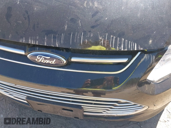 2013 Ford C-Max SEL with VIN 1FADP5BU8DL545349, listed as a IAAI auction lot 42139748 with 118,222 mi miles and . Bid and sale history available at carsss.com. Image 6.