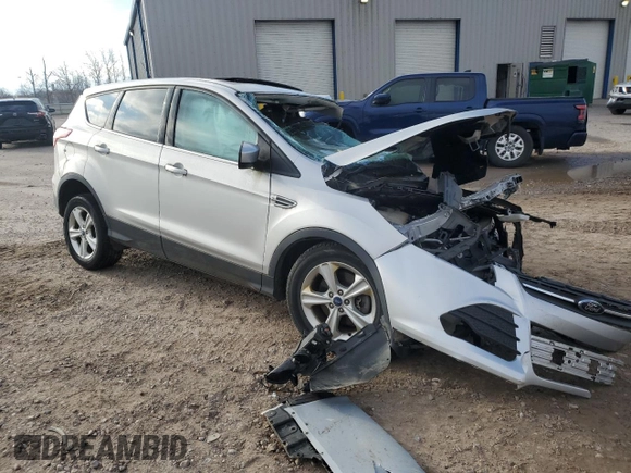 2014 Ford Escape SE with VIN 1FMCU9GX3EUD72937, listed as a Copart auction lot 53879405 with Not Provided miles and Non Repairable. Bid and sale history available at DreamBid. Image 4.
