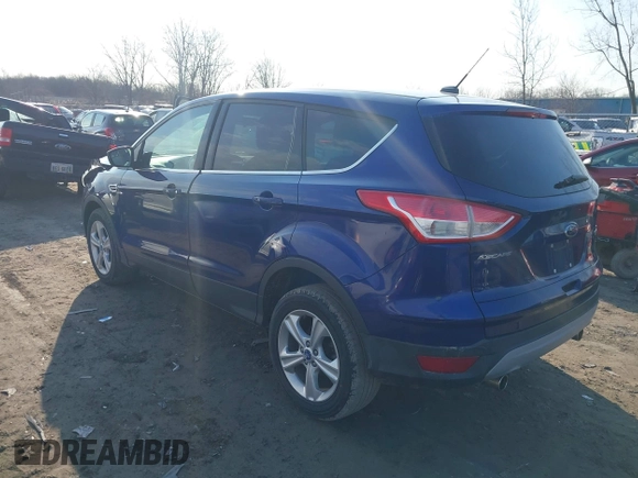 2013 Ford Escape SE with VIN 1FMCU0GX1DUA03049, listed as a IAAI auction lot 41780256 with 121,762 mi miles. Bid and sale history available at carsss.com. Image 3.
