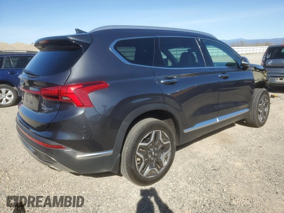 2023 Hyundai Santa Fe Limited with VIN 5NMS4DALXPH641406, listed as a Copart auction lot 48436055 with 43,382 mi miles and Salvage Title. Bid and sale history available at carsss.com. Image 3.