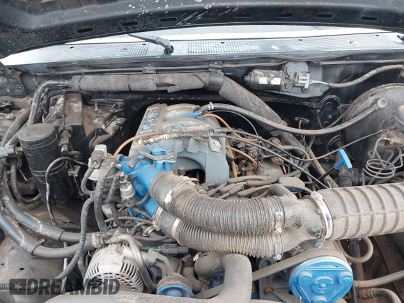 1995 Ford F-150 with VIN 1FTEX14N3SKC22102, listed as a IAAI auction lot 42384147 with 227,870 mi miles and . Bid and sale history available at DreamBid. Image 6.