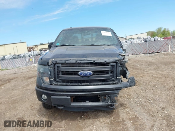 2013 Ford F-150 XL with VIN 1FTFX1ET9DFC41220, listed as a IAAI auction lot 42229913 with 181,404 mi miles and . Bid and sale history available at DreamBid. Image 11.