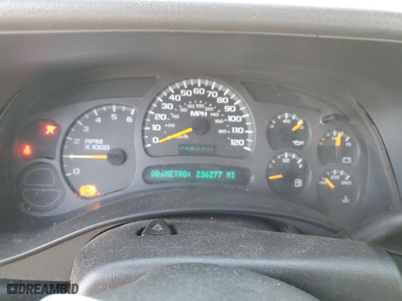 2003 Chevrolet Silverado 1500 LS with VIN 2GCEC19V231387449, listed as a Copart auction lot 49122405 with 236,277 mi miles and Salvage Title. Bid and sale history available at carsss.com. Image 9.