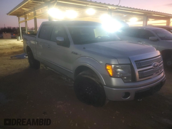 2009 Ford F-150 XL with VIN 1FTPW14V29FA39062, listed as a Copart auction lot 44239455 with 231,207 mi miles and Salvage title. Bid and sale history available at DreamBid. Image 4.