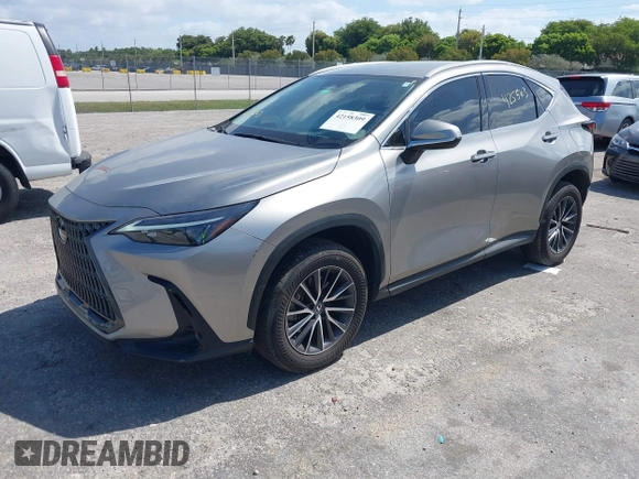 2024 Lexus NX 250 с VIN 2T2ADCAZ9RC009348, выставлен на аукционе IAAI как лот 42158309 с пробегом 16 583 миль миль и . История ставок и продаж доступна на DreamBid. Изображение 2.