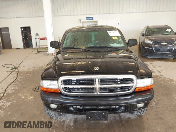 2004 Dodge Dakota Sport with VIN 1D7HG38N24S501391, listed as a IAAI auction lot 41736751 with 213,299 mi miles and . Bid and sale history available at carsss.com. Image 6.