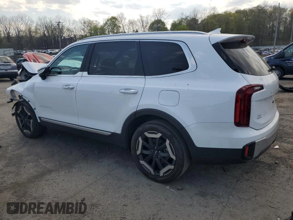 2023 Kia Telluride S with VIN 5XYP6DGC0PG384872, listed as a Copart auction lot 54167555 with 20,324 mi miles and Salvage title. Bid and sale history available at DreamBid. Image 2.