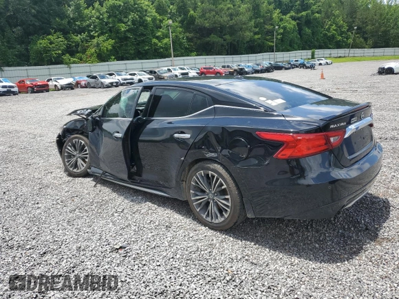 2017 Nissan Maxima Platinum with VIN 1N4AA6APXHC417917, listed as a Copart auction lot 61005785 with 103,836 mi miles and Salvage title. Bid and sale history available at DreamBid. Image 2.
