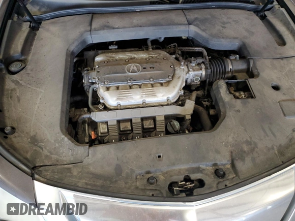 2009 Acura TL Tech with VIN 19UUA86549A018283, listed as a Copart auction lot 51913805 with 205,287 mi miles and Salvage Title. Bid and sale history available at carsss.com. Image 11.
