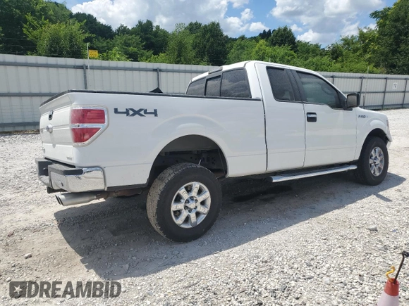 2013 Ford F-150 XL with VIN 1FTFX1EF4DFB02199, listed as a Copart auction lot 61959245 with 165,390 mi miles and Salvage title. Bid and sale history available at DreamBid. Image 3.