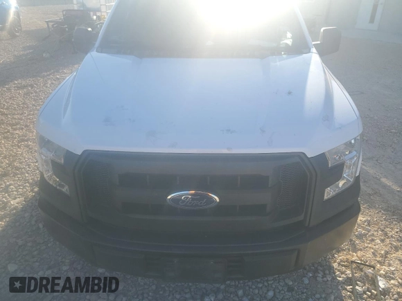 2017 Ford F-150 XL with VIN 1FTEX1C8XHKD13047, listed as a Copart auction lot 82138414 with 0 mi miles and Clean Title. Bid and sale history available at carsss.com. Image 12.
