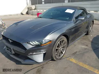 2019 Ford Mustang EcoBoost with VIN 1FATP8UH4K5171997, listed as a IAAI auction lot 41265773 with NaN miles. Bid and sale history available at carsss.com. Image 17.