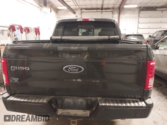 2017 Ford F-150 XL with VIN 1FTEW1EP3HKD25225, listed as a IAAI auction lot 41506022 with 106,071 mi miles. Bid and sale history available at carsss.com. Image 16.