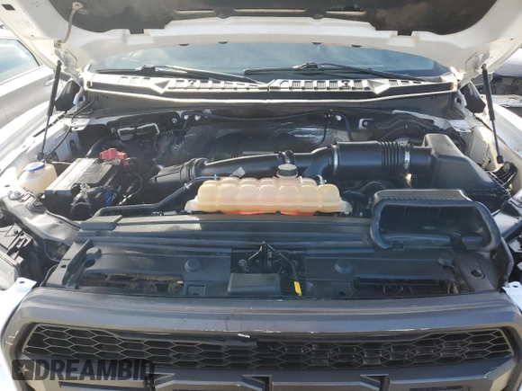 2017 Ford F-150 Raptor with VIN 1FTFW1RG6HFB54428, listed as a Copart auction lot 51157125 with 46,227 mi miles and Salvage Title. Bid and sale history available at carsss.com. Image 11.