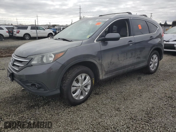 2013 Honda CR-V EX-L with VIN 2HKRM4H77DH655799, listed as a Copart auction lot 48250205 with Not Provided miles and Salvage Title. Bid and sale history available at carsss.com. Image 1.