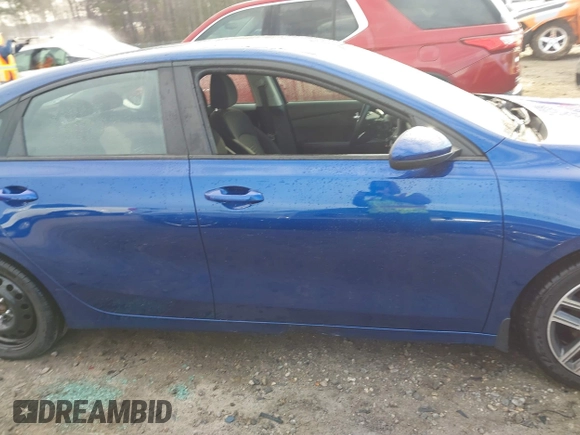 2019 Kia Forte S with VIN 3KPF34AD1KE039765, listed as a IAAI auction lot 41710098 with 119,652 mi miles. Bid and sale history available at carsss.com. Image 13.